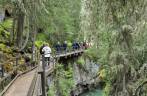 Caminhando pelas passarelas através do belíssimo Johnston Canyon, no Banff National Park, em Alberta, no Canadá
